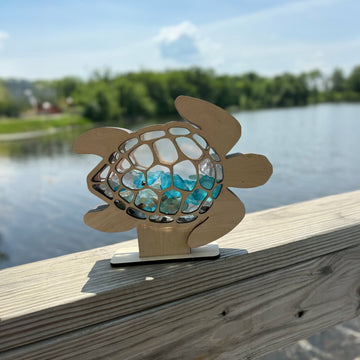Sea Turtle Shaped Sea Glass, Beach Glass, and Shell Display Box