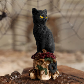Mysterious Dark Skeleton Cat