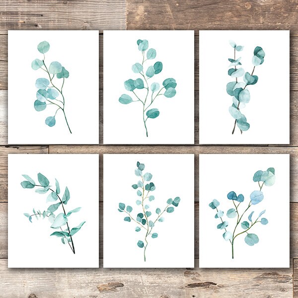 Trendy Eucalyptus Art Prints (Set of 6) - 8x10s