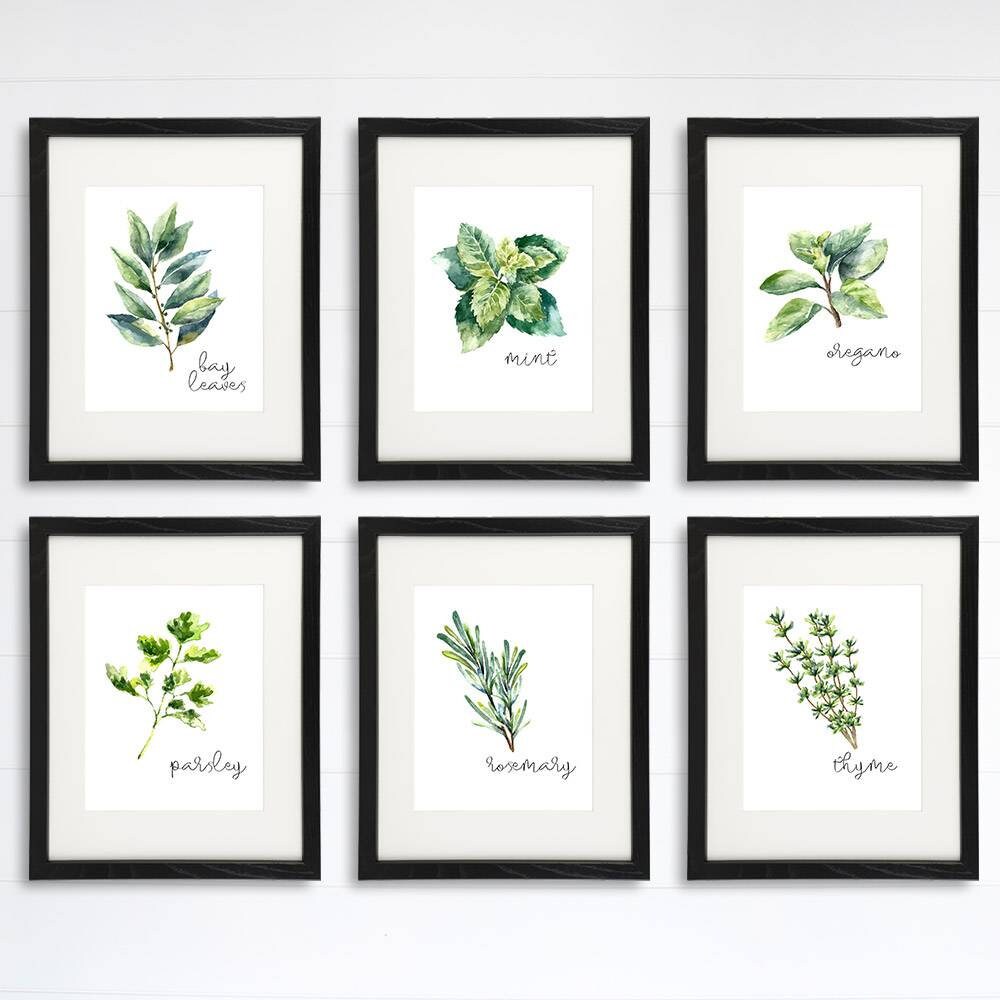 Kitchen Herbs Art Prints - Botanical Prints - (Set of 6) - 8x10s
