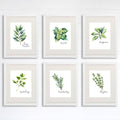 Kitchen Herbs Art Prints - Botanical Prints - (Set of 6) - 8x10s