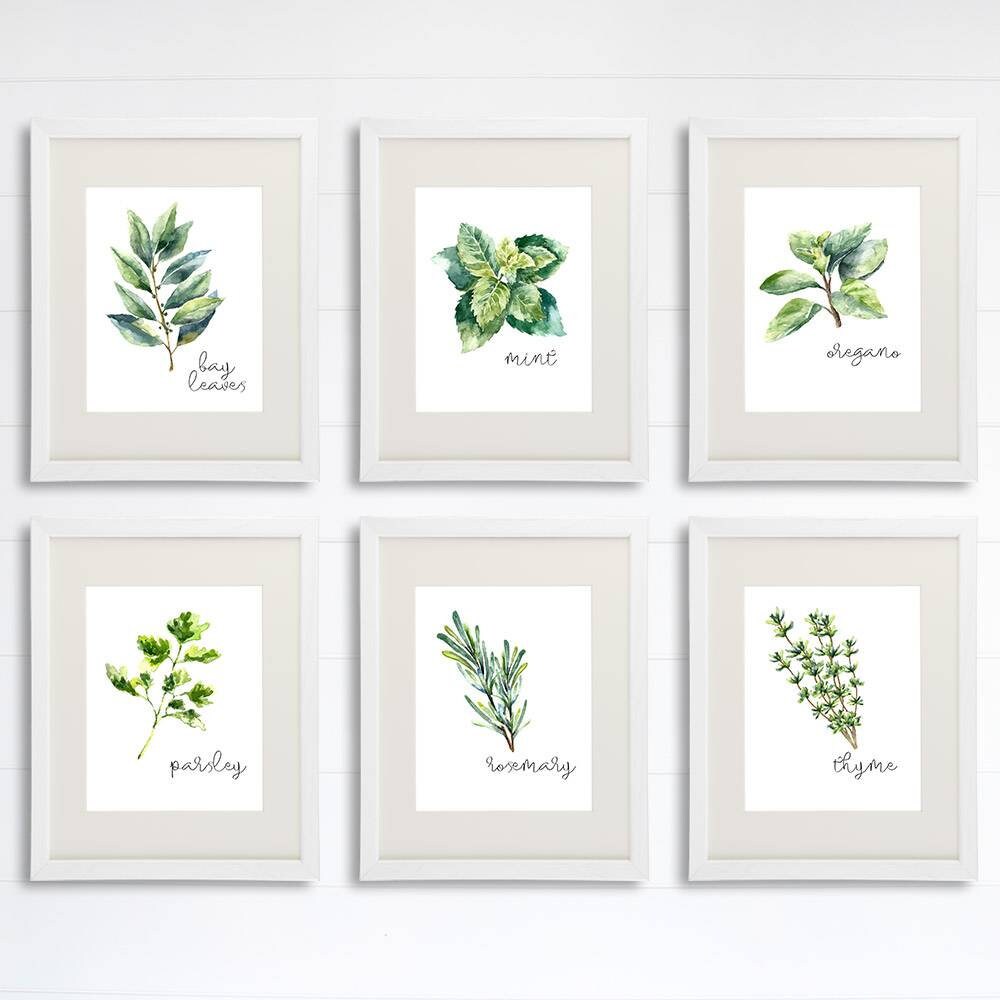 Kitchen Herbs Art Prints - Botanical Prints - (Set of 6) - 8x10s