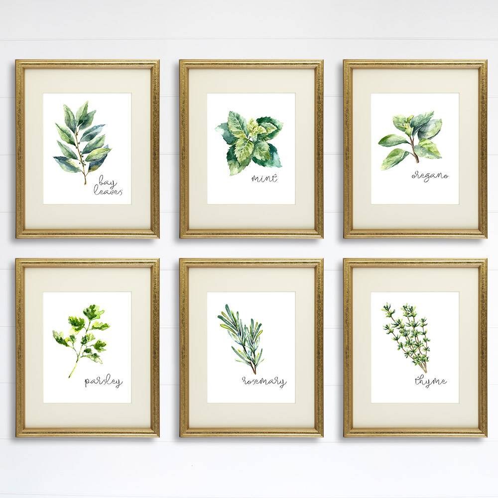 Kitchen Herbs Art Prints - Botanical Prints - (Set of 6) - 8x10s