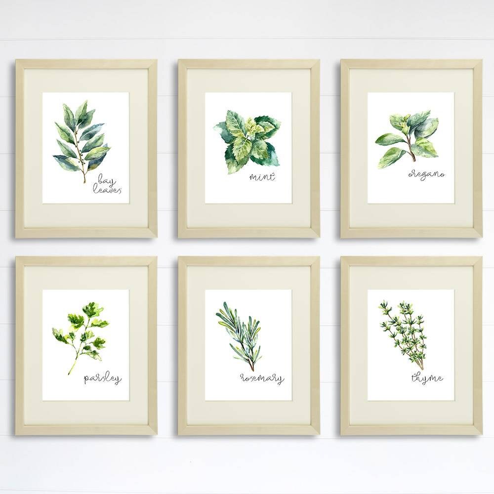 Kitchen Herbs Art Prints - Botanical Prints - (Set of 6) - 8x10s