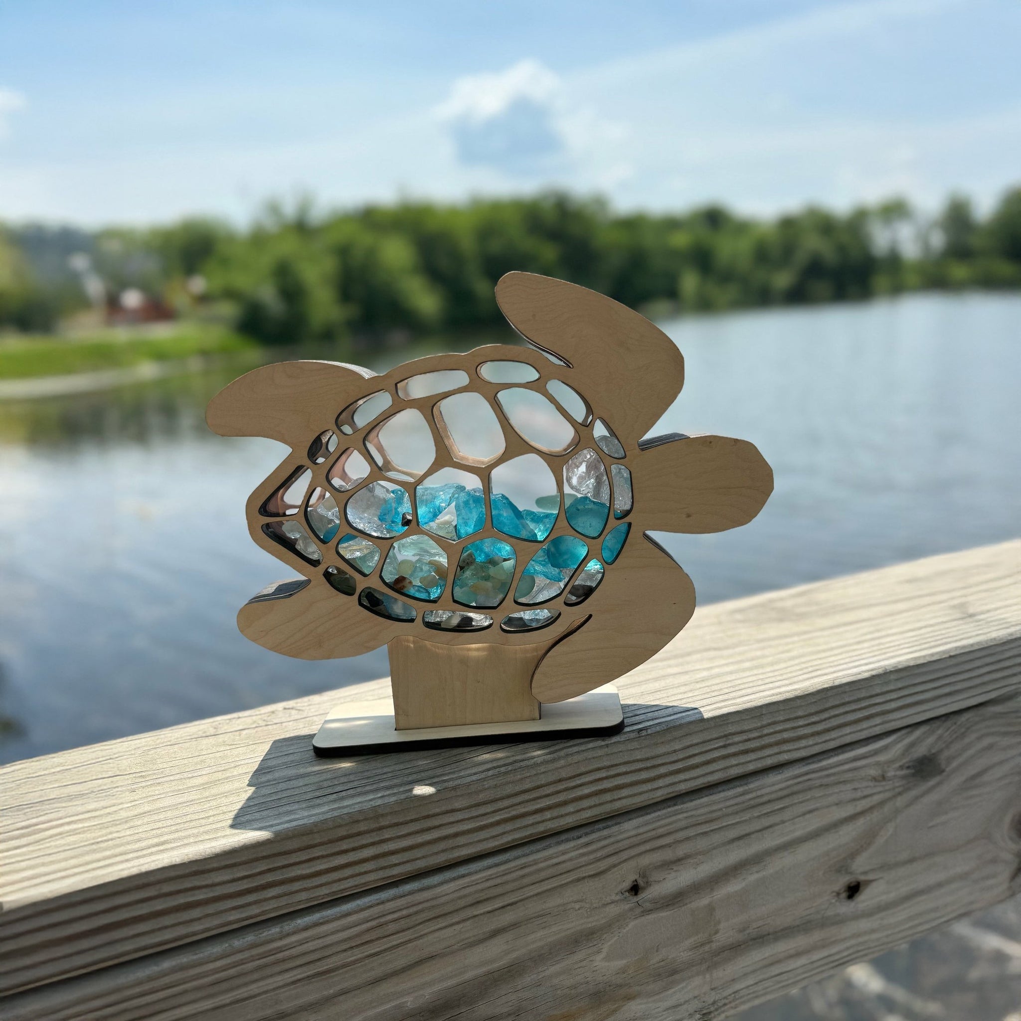 Sea Turtle Shaped Sea Glass, Beach Glass, and Shell Display Box