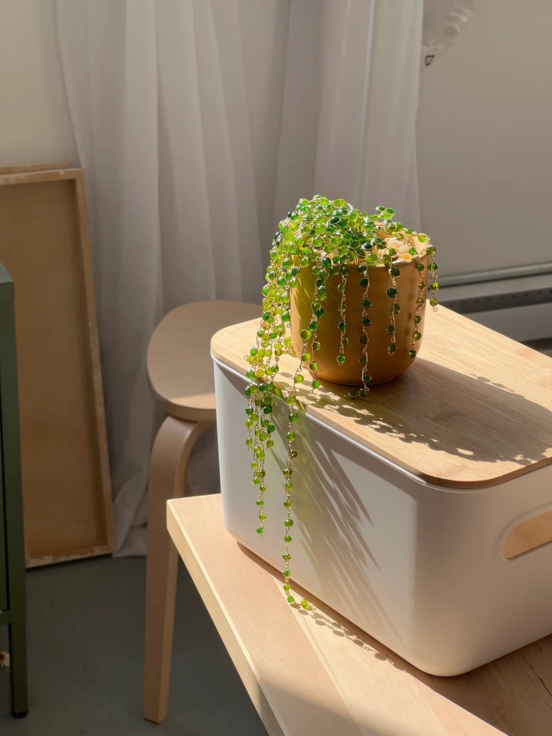 Handmade Pearl String Plant Decoration(Comes with Flower Pot)